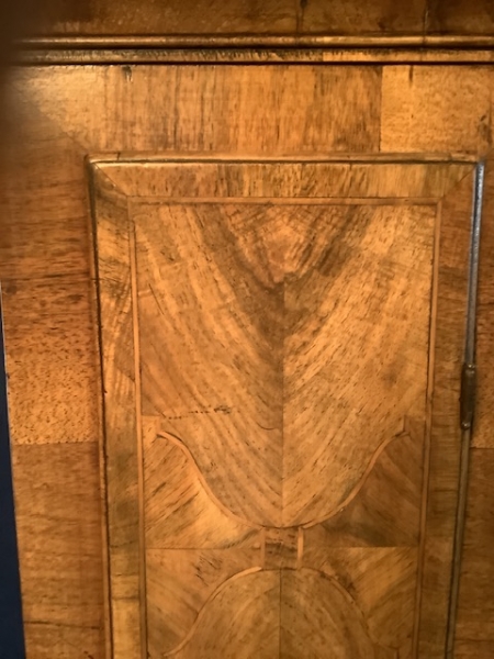Early walnut
